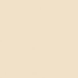 Melamine Color- Champagne 250